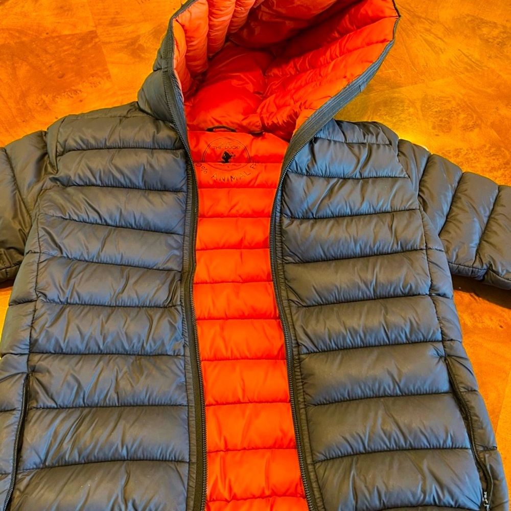 Boys black Save the Duck Insulated Jacket